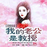 甜蜜追妻：我的老公是教授